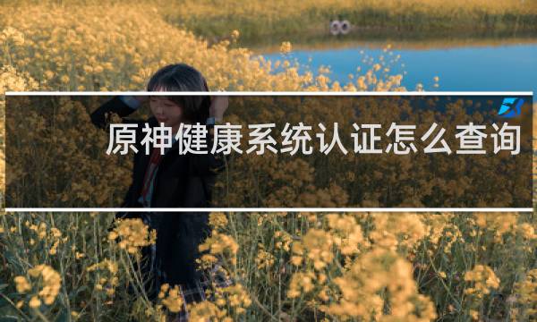 原神健康系统认证怎么查询