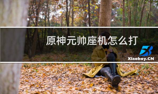 原神元帅座机怎么打