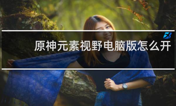 原神元素视野电脑版怎么开