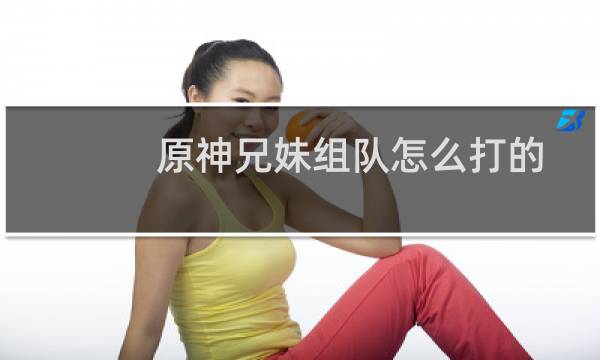 原神兄妹组队怎么打的