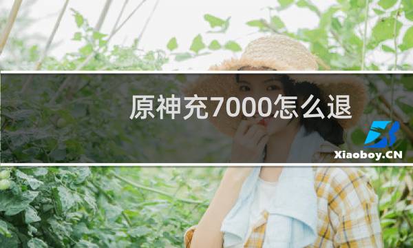 原神充7000怎么退