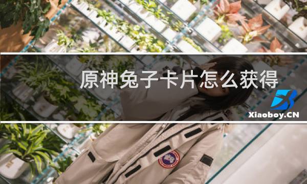 原神兔子卡片怎么获得
