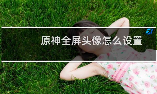 原神全屏头像怎么设置