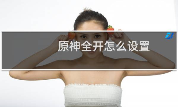 原神全开怎么设置
