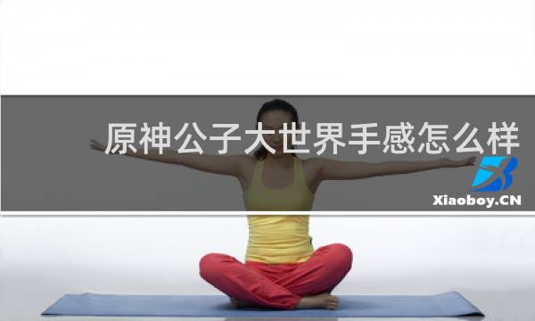 原神公子大世界手感怎么样