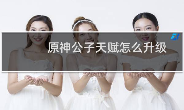 原神公子天赋怎么升级