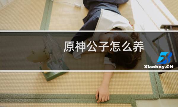 原神公子怎么养