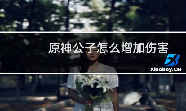 原神公子怎么增加伤害