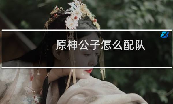 原神公子怎么配队