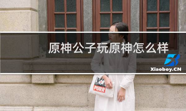 原神公子玩原神怎么样