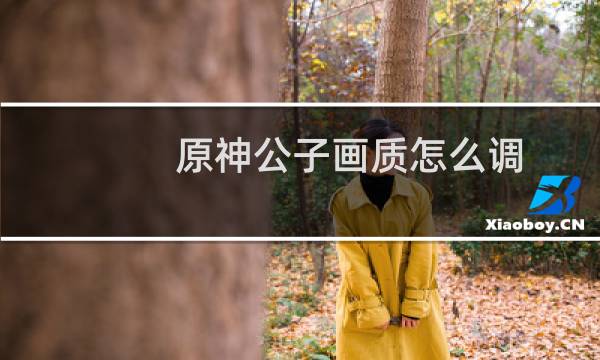 原神公子画质怎么调