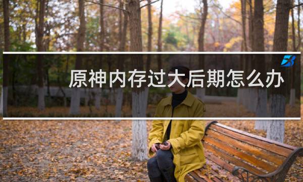 原神内存过大后期怎么办