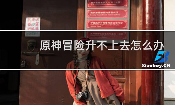 原神冒险升不上去怎么办