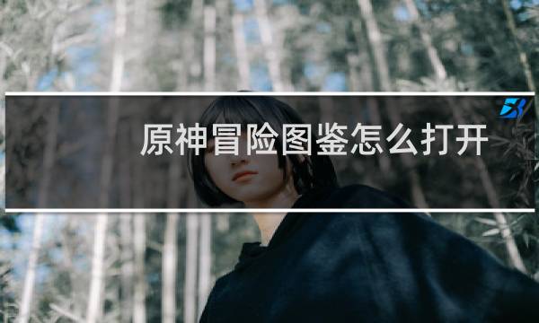 原神冒险图鉴怎么打开