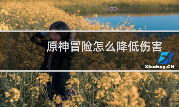 原神冒险怎么降低伤害