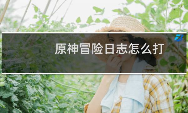 原神冒险日志怎么打