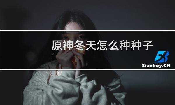 原神冬天怎么种种子