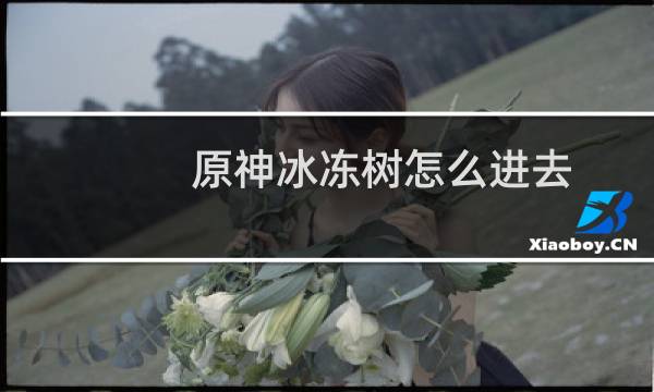原神冰冻树怎么进去