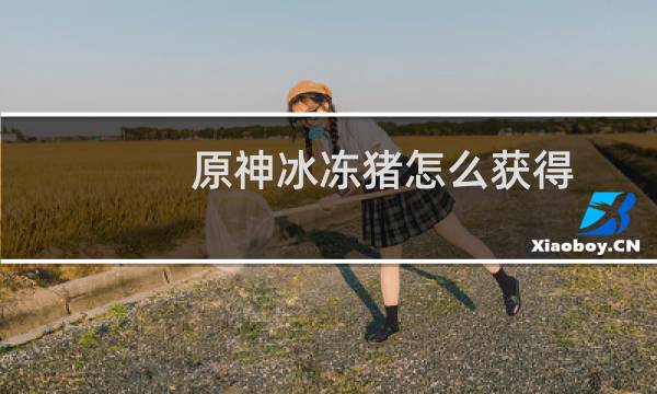 原神冰冻猪怎么获得