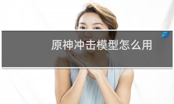 原神冲击模型怎么用