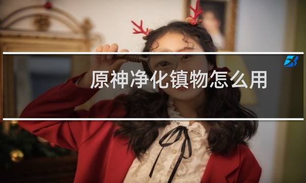 原神净化镇物怎么用