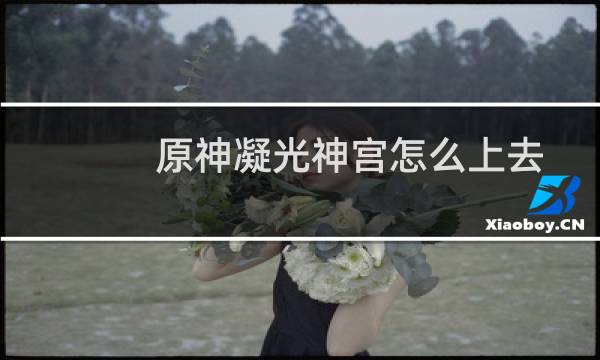 原神凝光神宫怎么上去