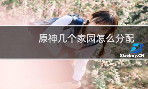 原神几个家园怎么分配