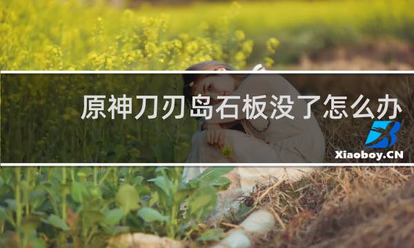 原神刀刃岛石板没了怎么办
