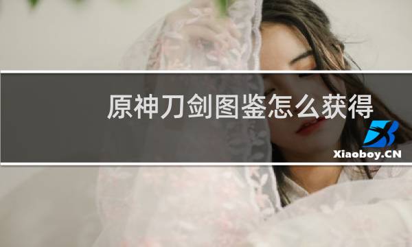 原神刀剑图鉴怎么获得
