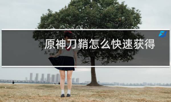 原神刀鞘怎么快速获得