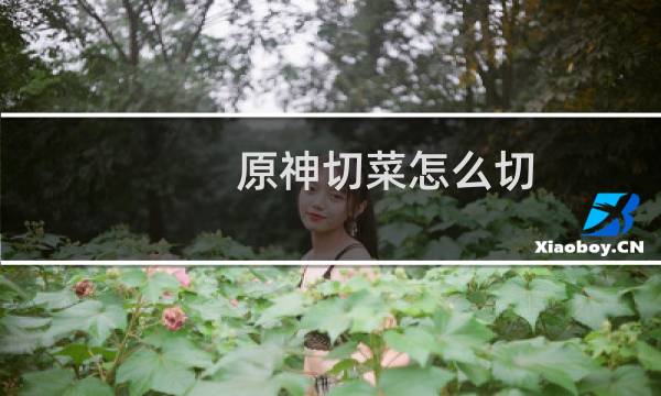 原神切菜怎么切