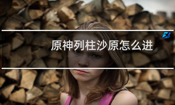 原神列柱沙原怎么进