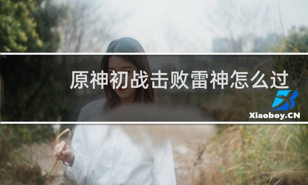 原神初战击败雷神怎么过