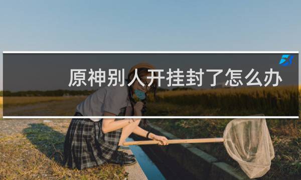 原神别人开挂封了怎么办