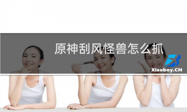 原神刮风怪兽怎么抓