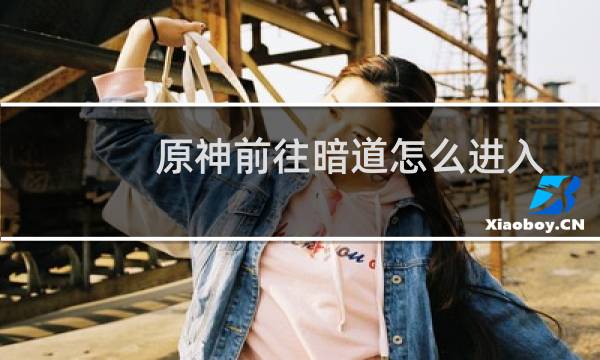原神前往暗道怎么进入