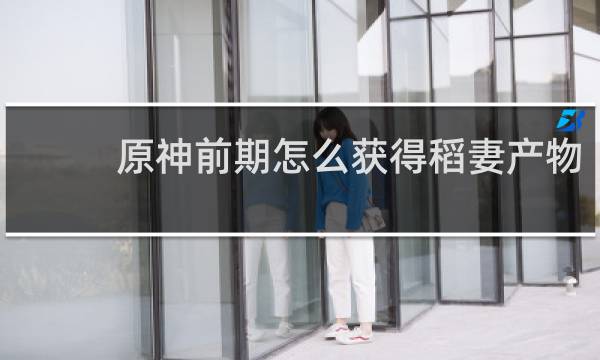 原神前期怎么获得稻妻产物