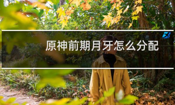 原神前期月牙怎么分配