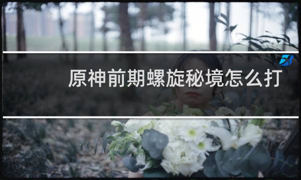 原神前期螺旋秘境怎么打