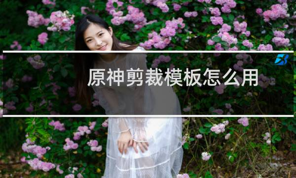 原神剪裁模板怎么用