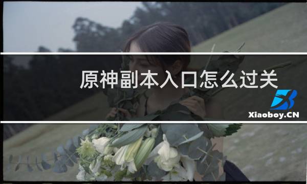 原神副本入口怎么过关