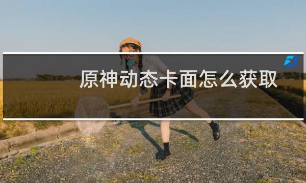 原神动态卡面怎么获取