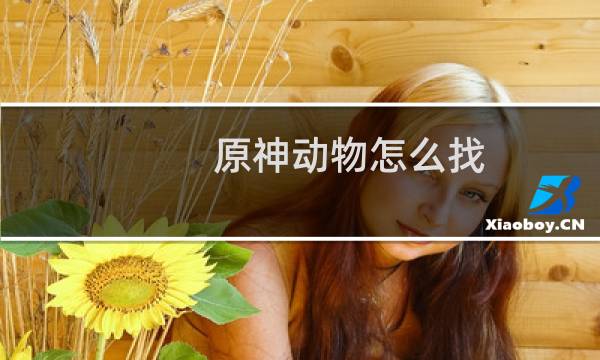 原神动物怎么找