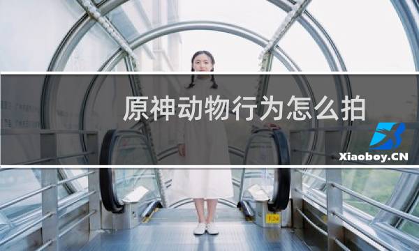 原神动物行为怎么拍