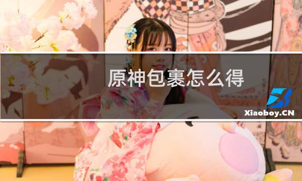 原神包裹怎么得