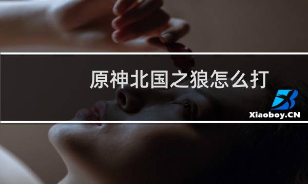 原神北国之狼怎么打