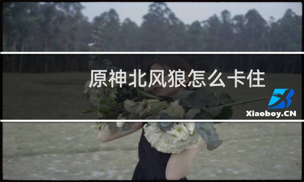 原神北风狼怎么卡住
