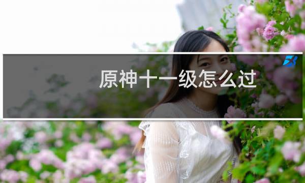 原神十一级怎么过