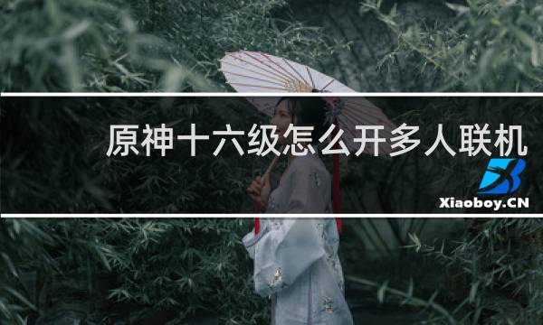 原神十六级怎么开多人联机