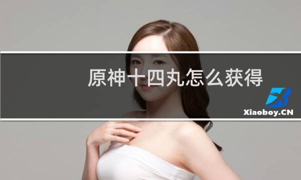 原神十四丸怎么获得